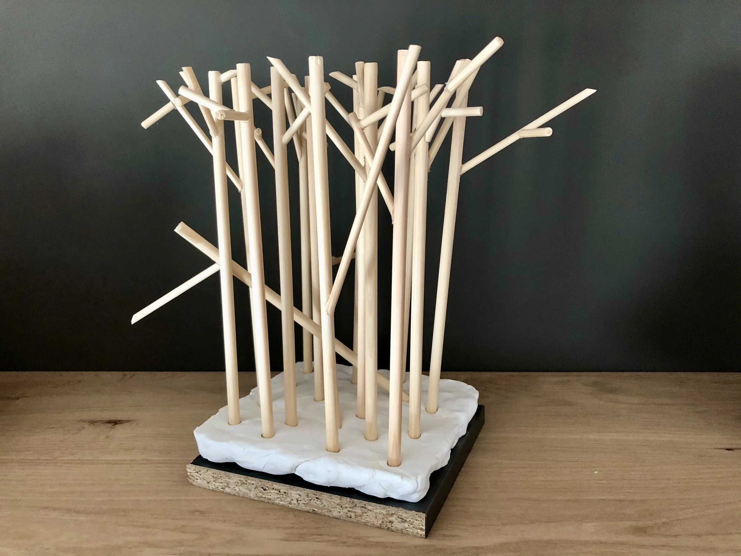 Het Bos naar de Stad brengen