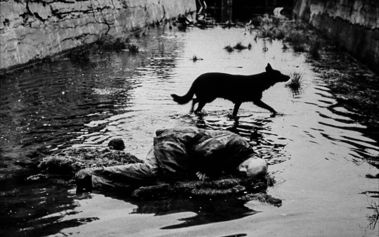 1979_andrei_tarkovsky_stalker_movie_grayscale_1280x800_89578.jpg