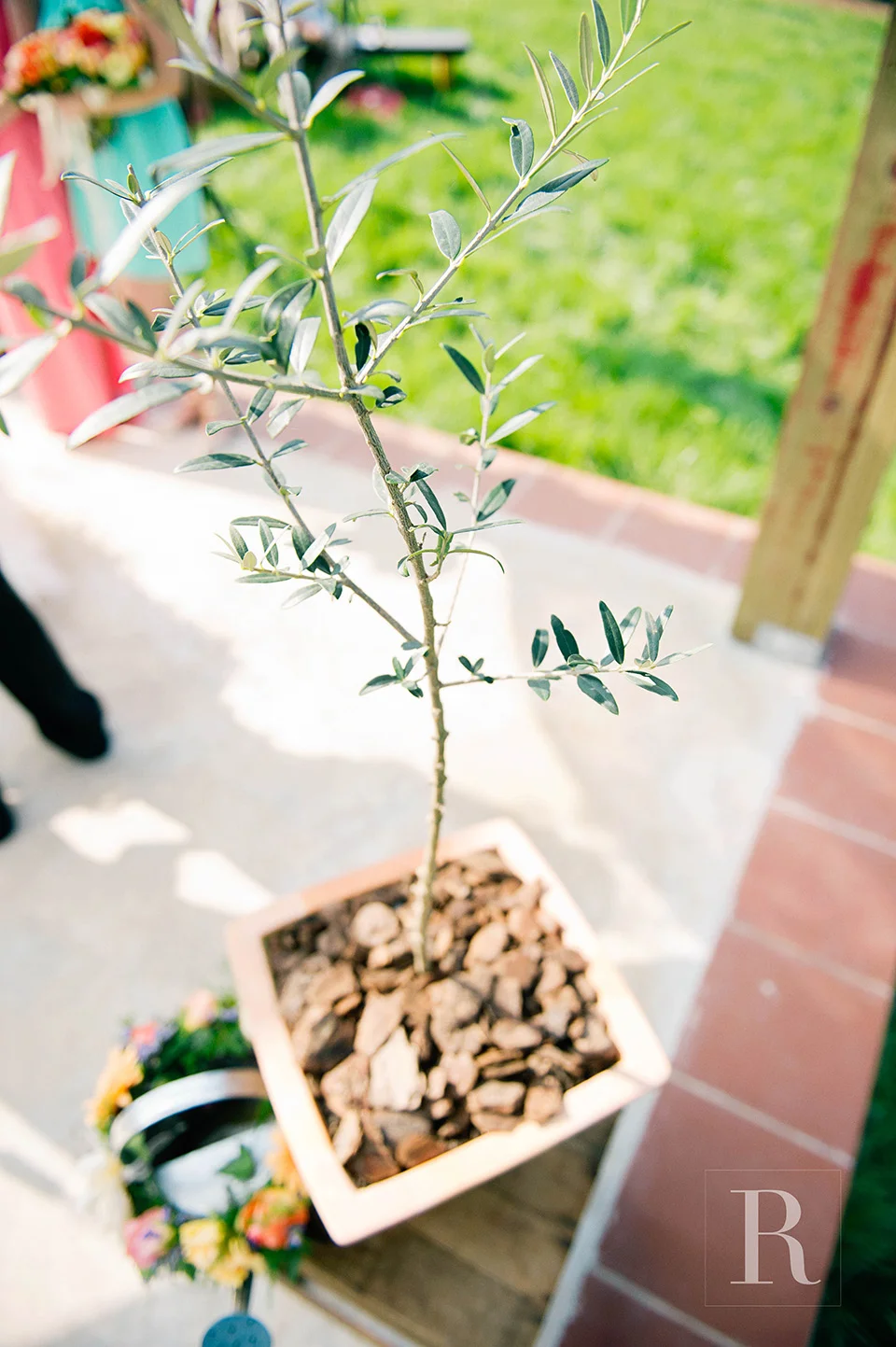 RYAN PARKER PHOTOGRAPHY_GABI & ROBBY_WEDDING_STONE CELLAR_GAUTENG-5073.jpg