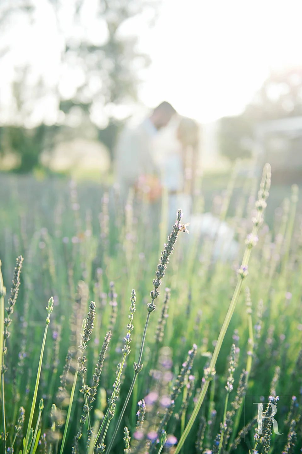 RYAN PARKER PHOTOGRAPHY_GABI & ROBBY_WEDDING_STONE CELLAR_GAUTENG-5469.jpg