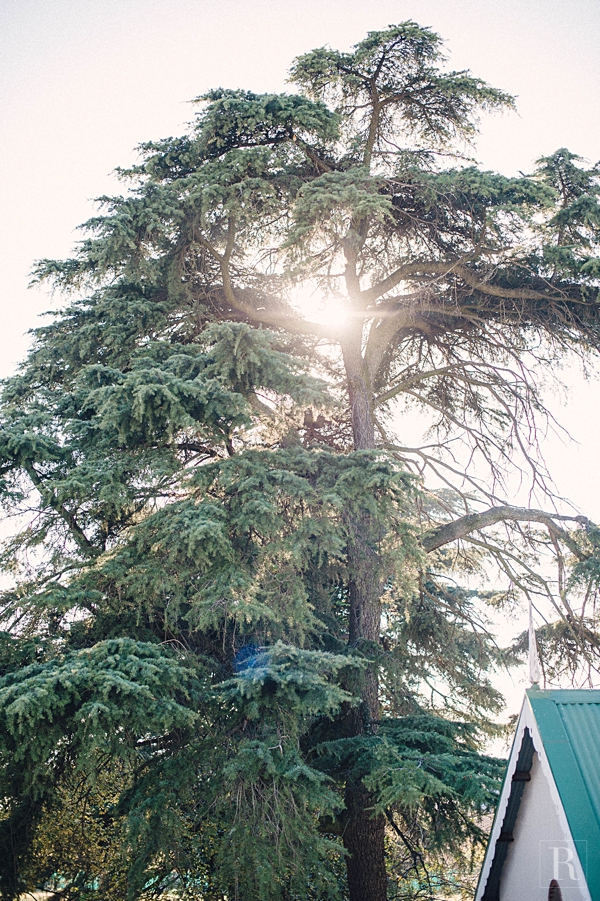 RYAN PARKER PHOTOGRAPHY_CANDLE WOODS ESTATE_PRETORIA_WEDDING-4034.jpg