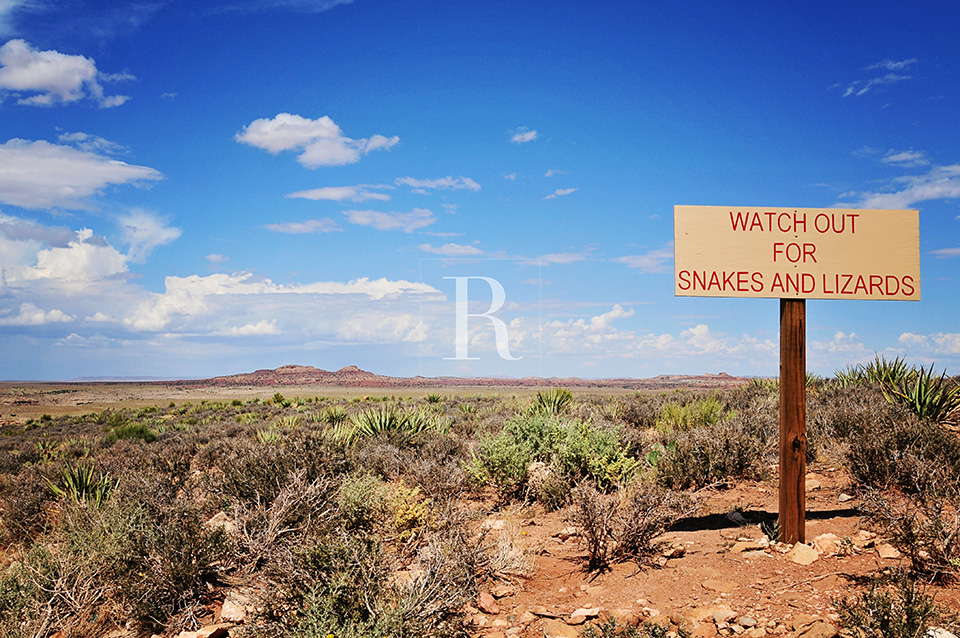 RYAN PARKER PHOTOGRAPHY_ARIZONA_TRAVEL.jpg