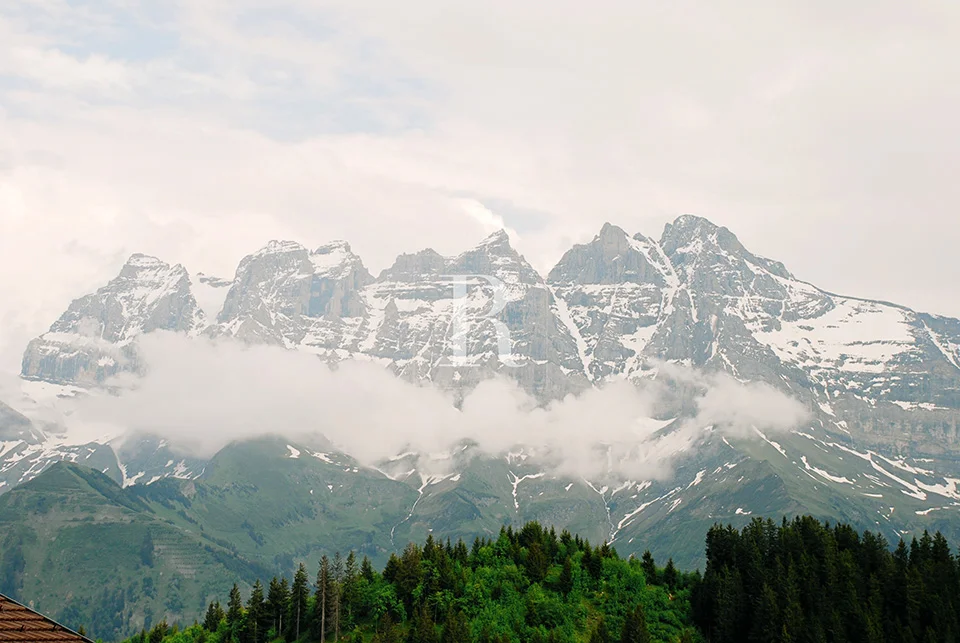 RYAN PARKER PHOTOGRAPHY_TRAVEL_SWITZERLAND 2-.jpg