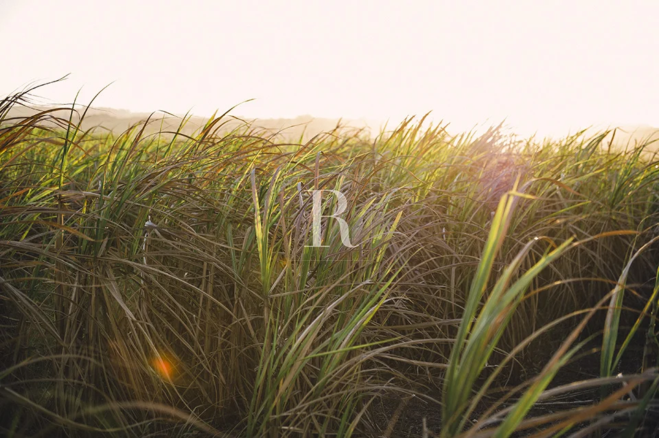 RYAN PARKER PHOTOGRAPHY_WEDDINGS_DURBAN_K&V DSC_8210.jpg