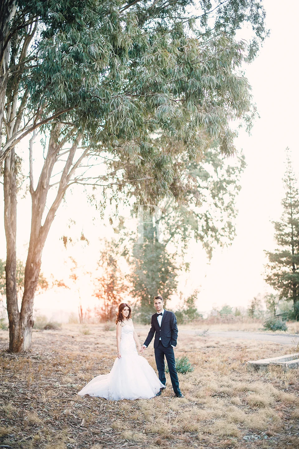 RYAN PARKER PHOTOGRAPHY_WEDDINGS_PRETORIA_ROSEMARY HILL_M&N -0513.jpg