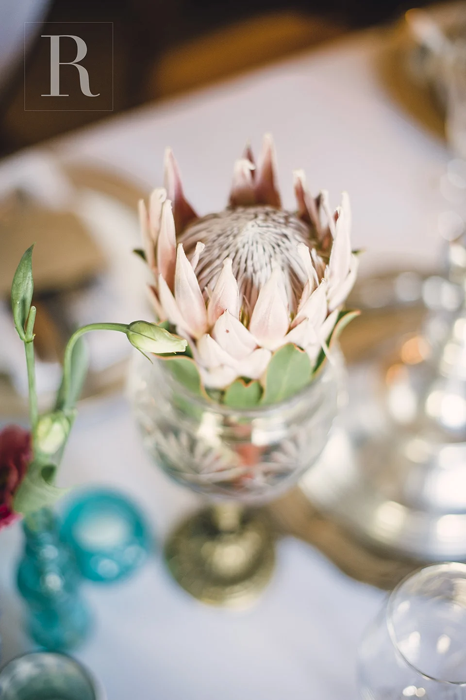 RYAN PARKER PHOTOGRAPHY_WEDDINGS_JOHANNESBURG_MORRELLS_M&M DSC_2416.jpg