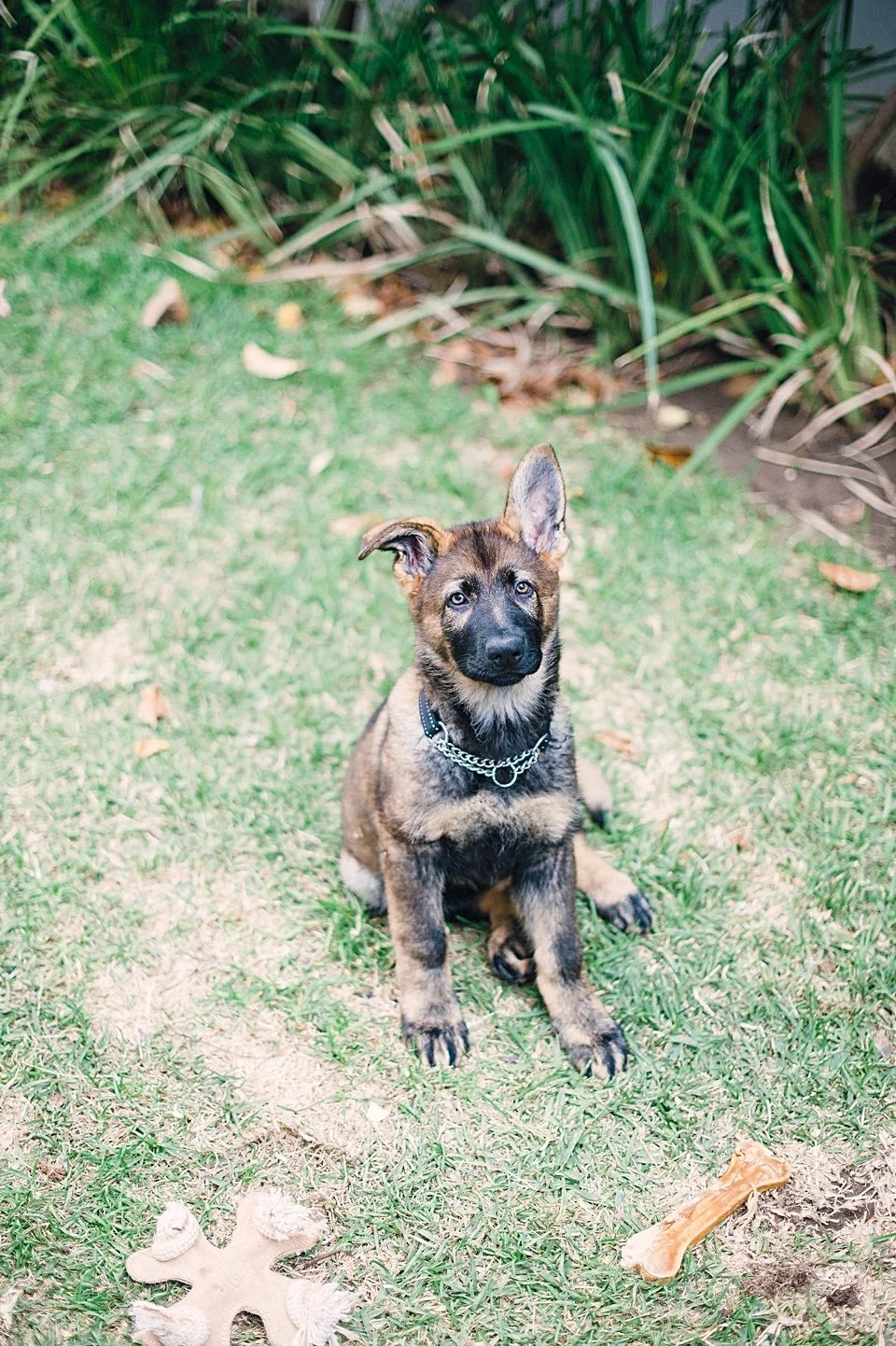 DSC_9588.jpg