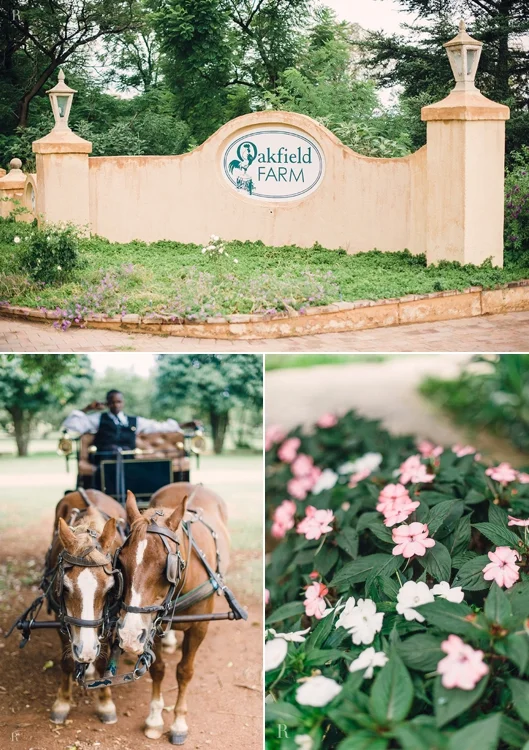 RYAN PARKER_WEDDING PHOTOGRAPHER_OAKFIELD FARM_JOHANNESBURG_N&J-7942.jpg