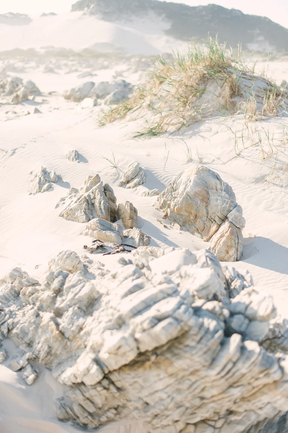 RYAN PARKER PHOTOGRAPHY_FINE ART_COUPLE SESSION_CAPE TOWN_L&C_DSC_0933.jpg