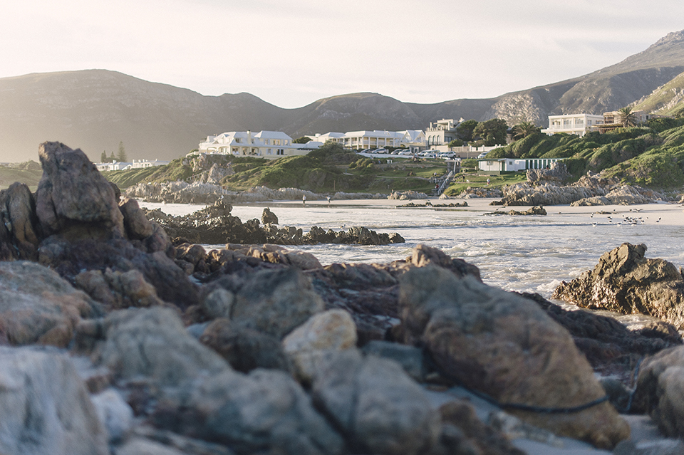 RyanParker_WeddingPhotographer_FineArt_CapeTown_EngagementSession_Hermanus_M&S_DSC_2512.jpg