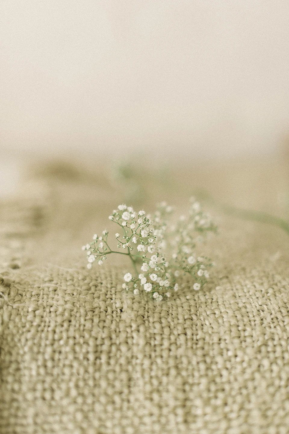 RyanParker_WeddingPhotographer_FineArt_CapeTown_Stanford_Hermanus_J&I_DSC_0121.jpg