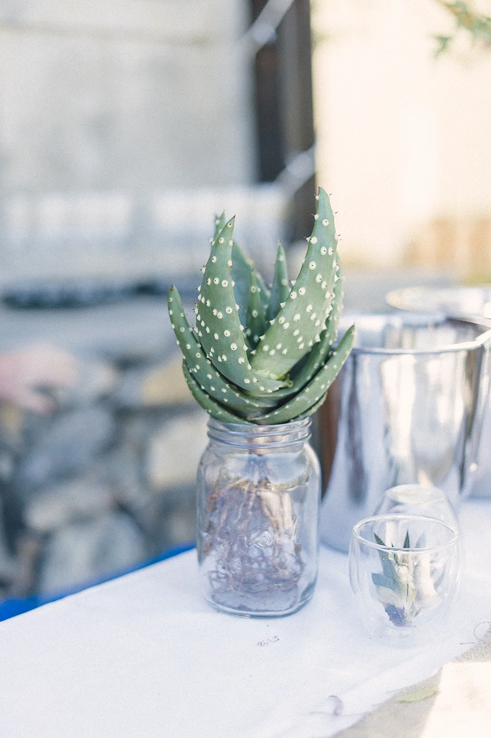 RyanParker_WeddingPhotographer_FineArt_CapeTown_Stanford_Hermanus_J&I_DSC_0160.jpg