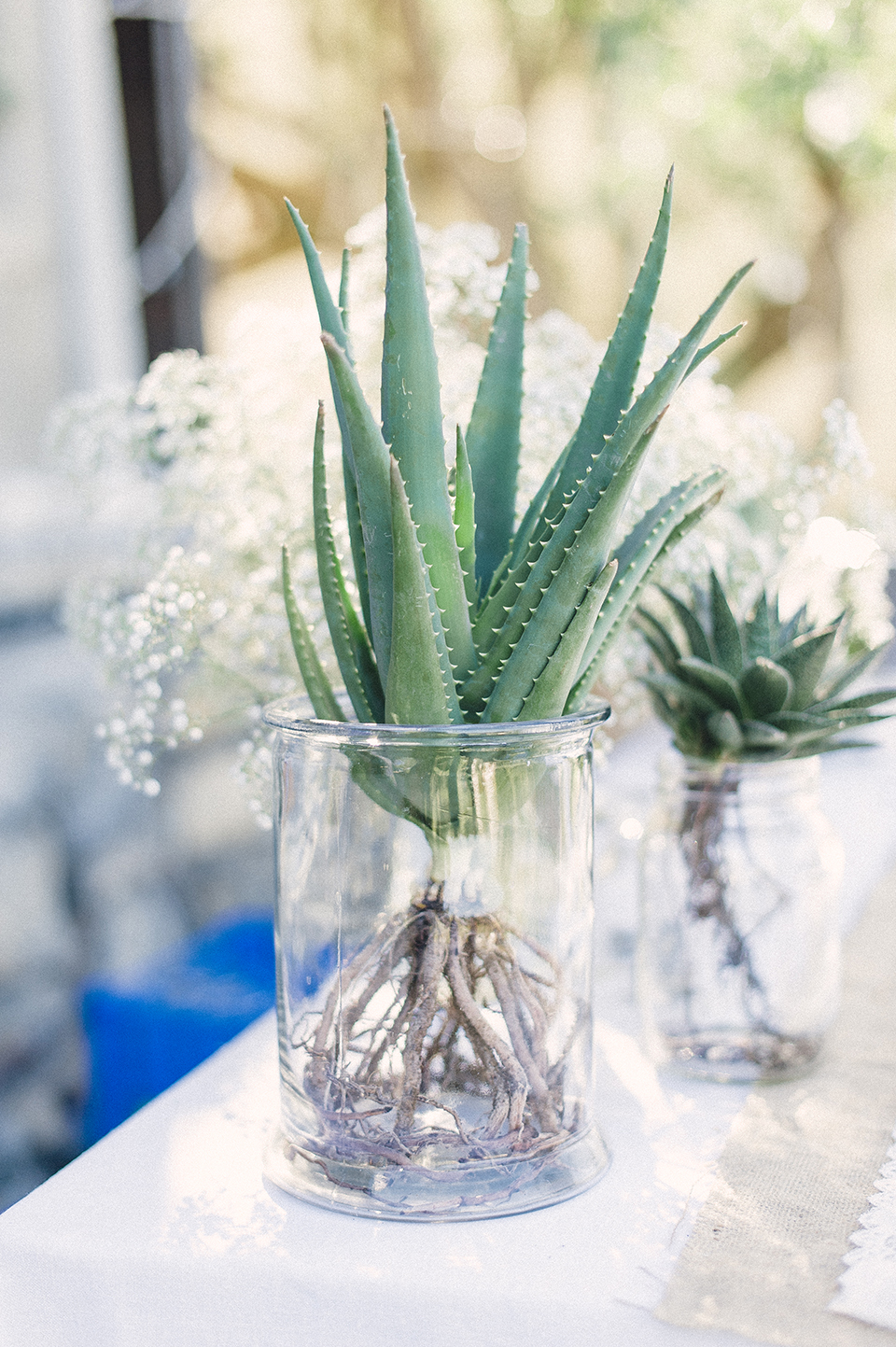 RyanParker_WeddingPhotographer_FineArt_CapeTown_Stanford_Hermanus_J&I_DSC_0161.jpg