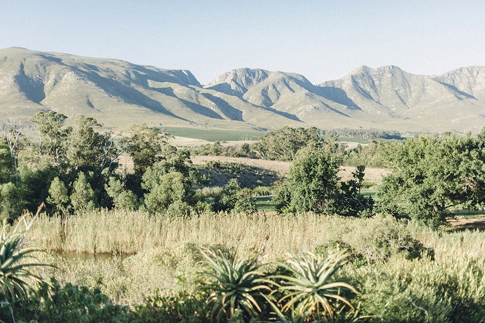 RyanParker_WeddingPhotographer_FineArt_CapeTown_Stanford_Hermanus_J&I_DSC_0647.jpg