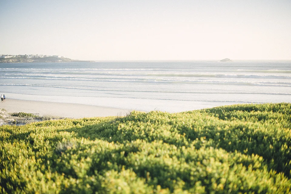 RyanParker_WeddingPhotographer_FineArt_CapeTown_Hermanus_Wedding_Yzerfontein_DSC_4221.jpg