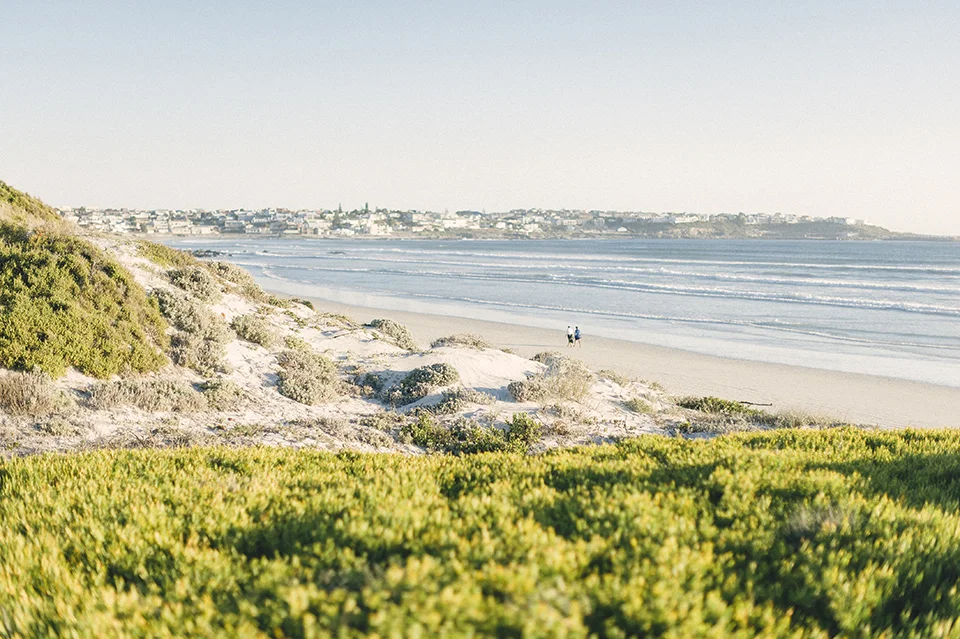 RyanParker_WeddingPhotographer_FineArt_CapeTown_Hermanus_Wedding_Yzerfontein_DSC_4222.jpg