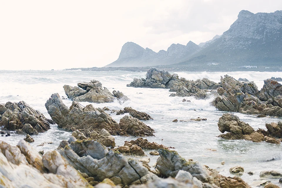 RyanParker_WeddingPhotographer_CapeTown_Hermanus_PringleBay_SouthAfrica_T&R_DSC_5617.jpg