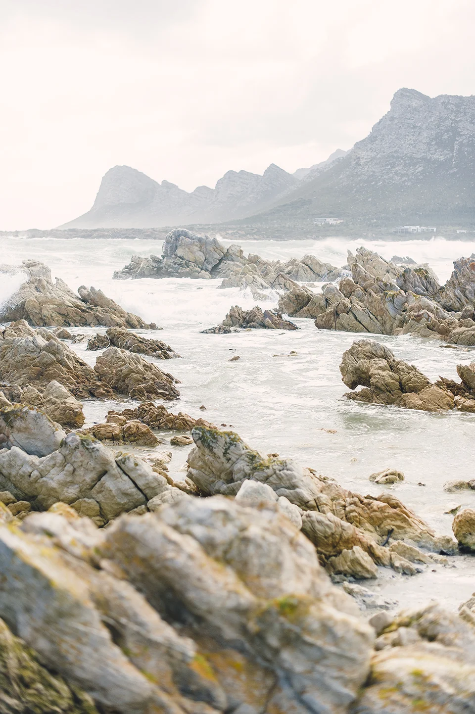RyanParker_WeddingPhotographer_CapeTown_Hermanus_PringleBay_SouthAfrica_T&R_DSC_5622.jpg