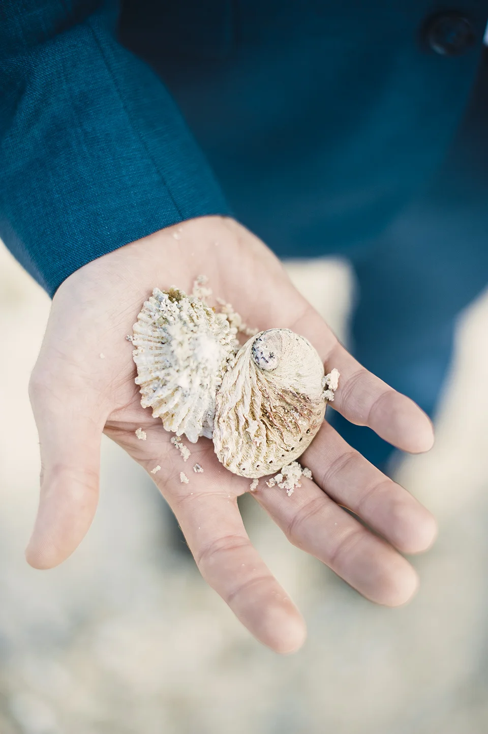 RyanParker_WeddingPhotographer_CapeTown_Hermanus_PringleBay_SouthAfrica_T&R_DSC_5647.jpg