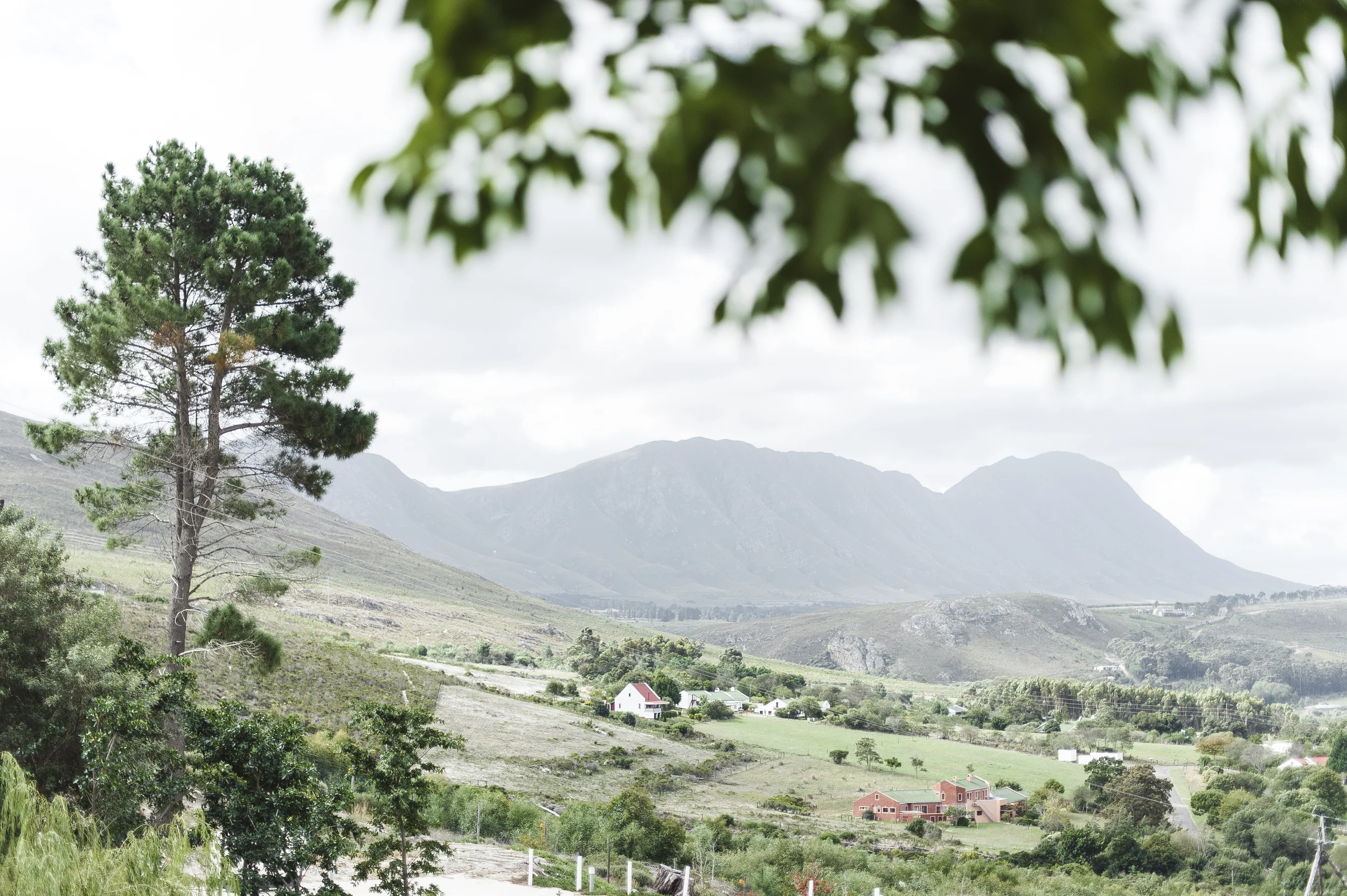 RyanParker_WeddingPhotographer_CapeTown_BonaDea_Hermanus_S&A_DSC_1277.jpg