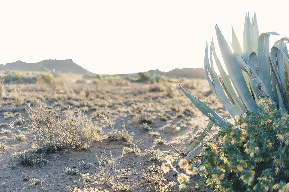 RyanParker_FineArtPhotographer_Travel_Karoo_Bloemhof_DSC_9326.jpg