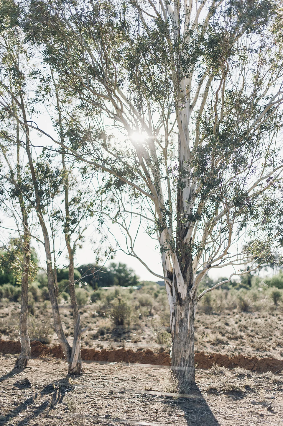 RyanParker_FineArtPhotographer_Travel_Karoo_Bloemhof_DSC_8950.jpg