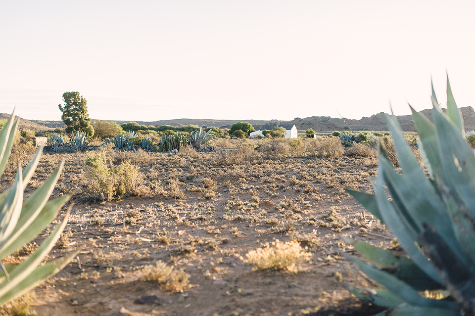 RyanParker_FineArtPhotographer_Travel_Karoo_Bloemhof_DSC_9332.jpg