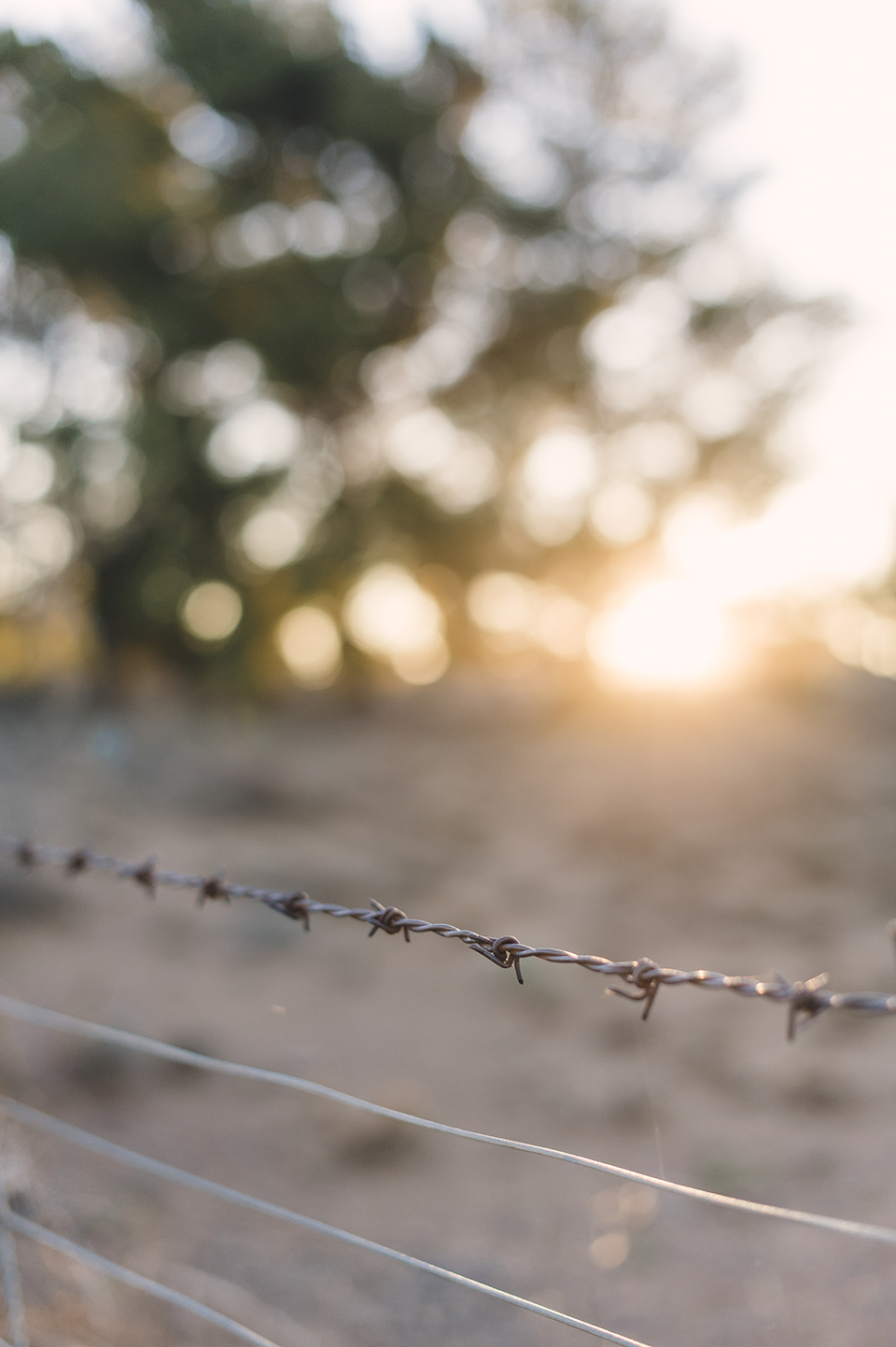RyanParker_FineArtPhotographer_Travel_Karoo_Bloemhof_DSC_9339.jpg