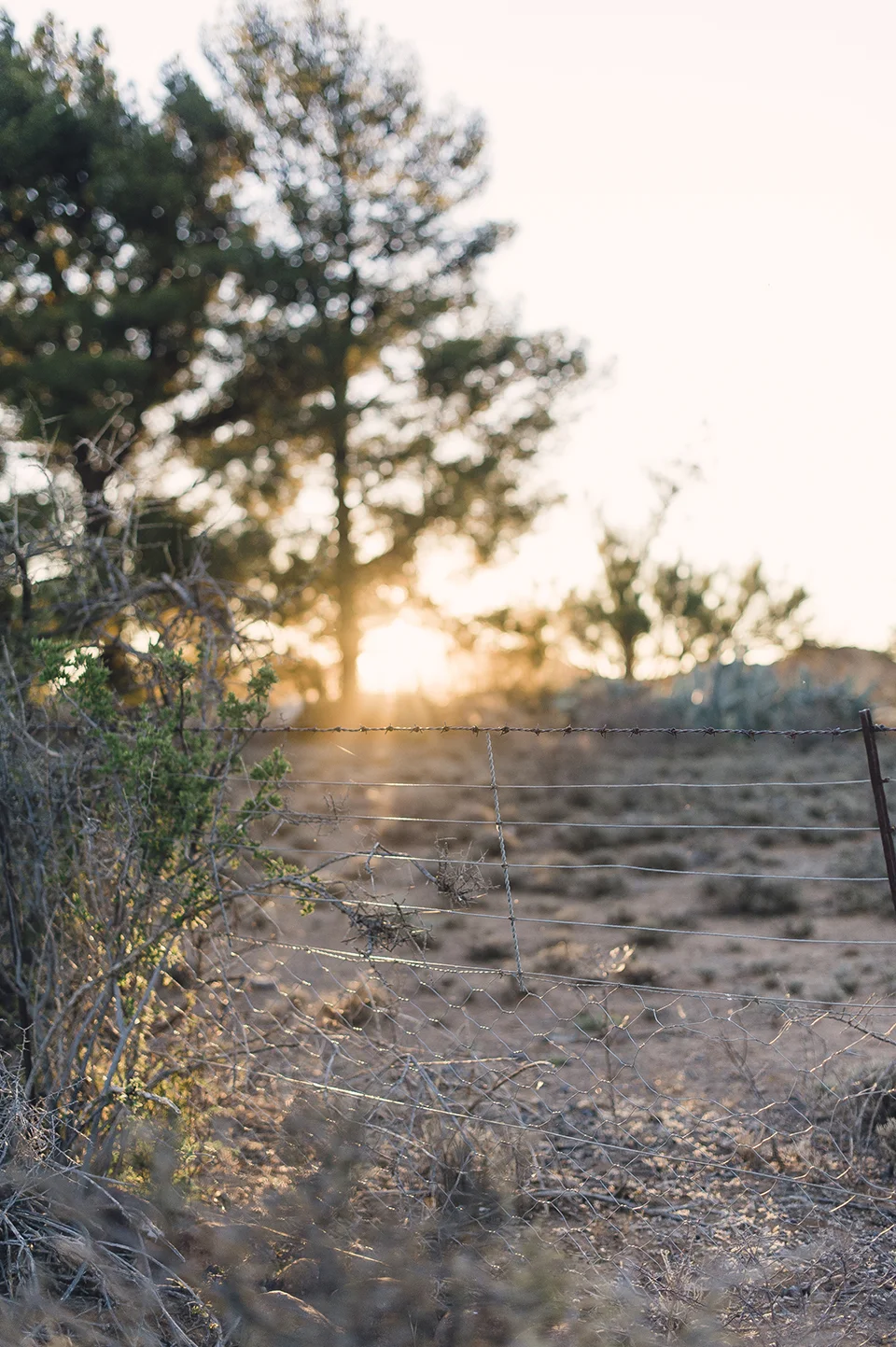 RyanParker_FineArtPhotographer_Travel_Karoo_Bloemhof_DSC_9337.jpg