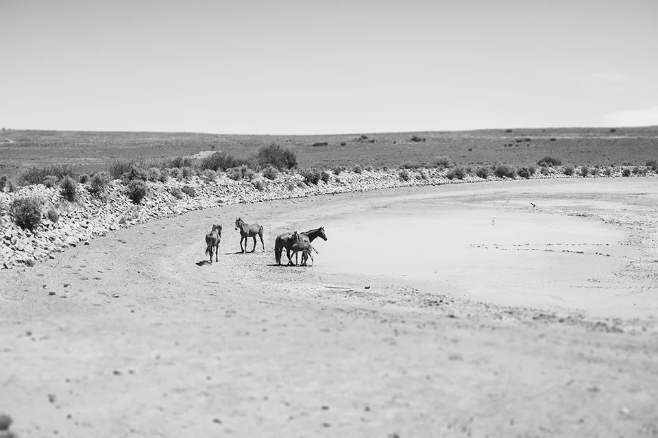 RyanParker_FineArtPhotographer_Travel_Karoo_Bloemhof_DSC_9364.jpg