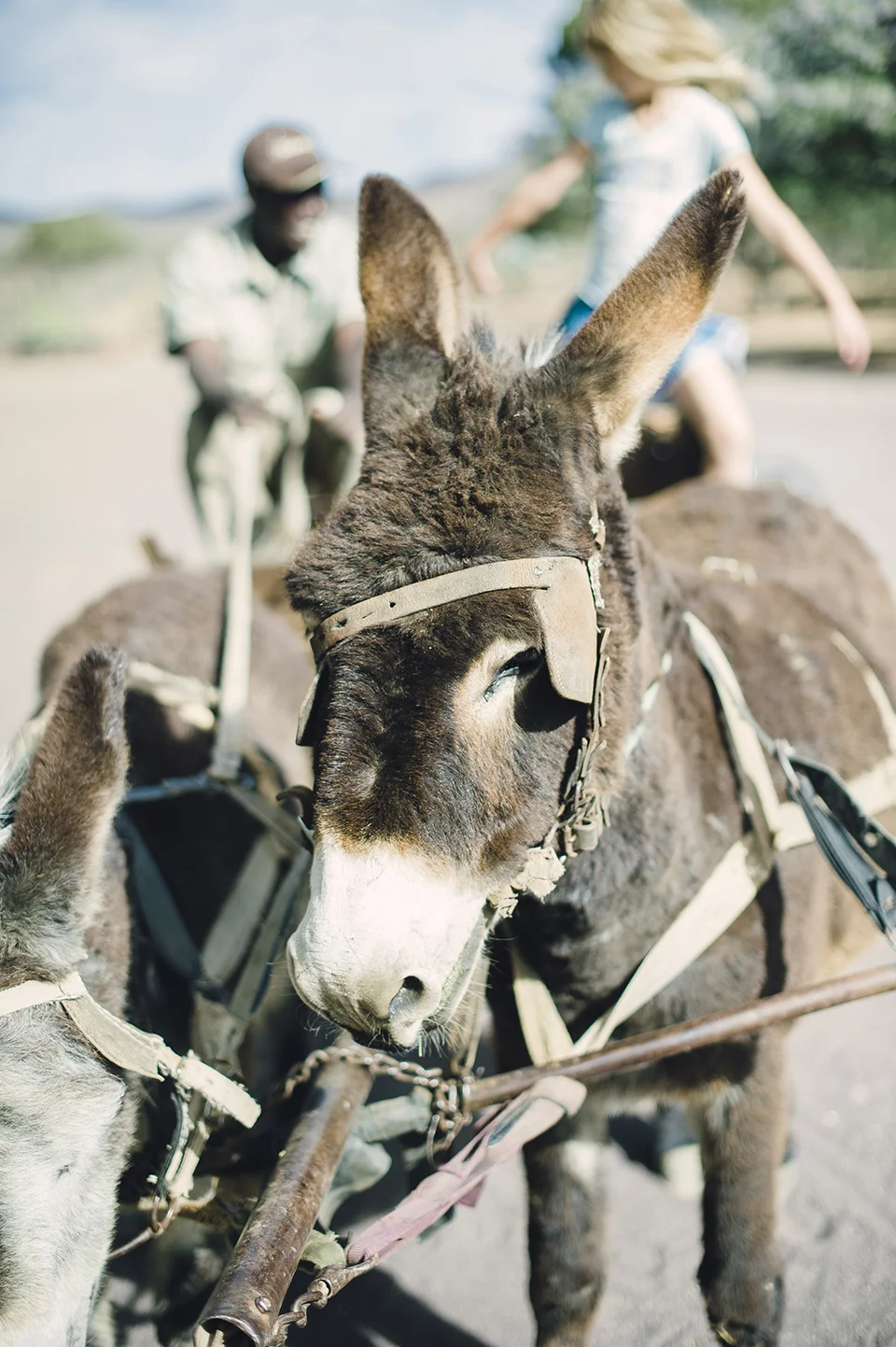 RyanParker_FineArtPhotographer_Travel_Karoo_Bloemhof_DSC_9155.jpg