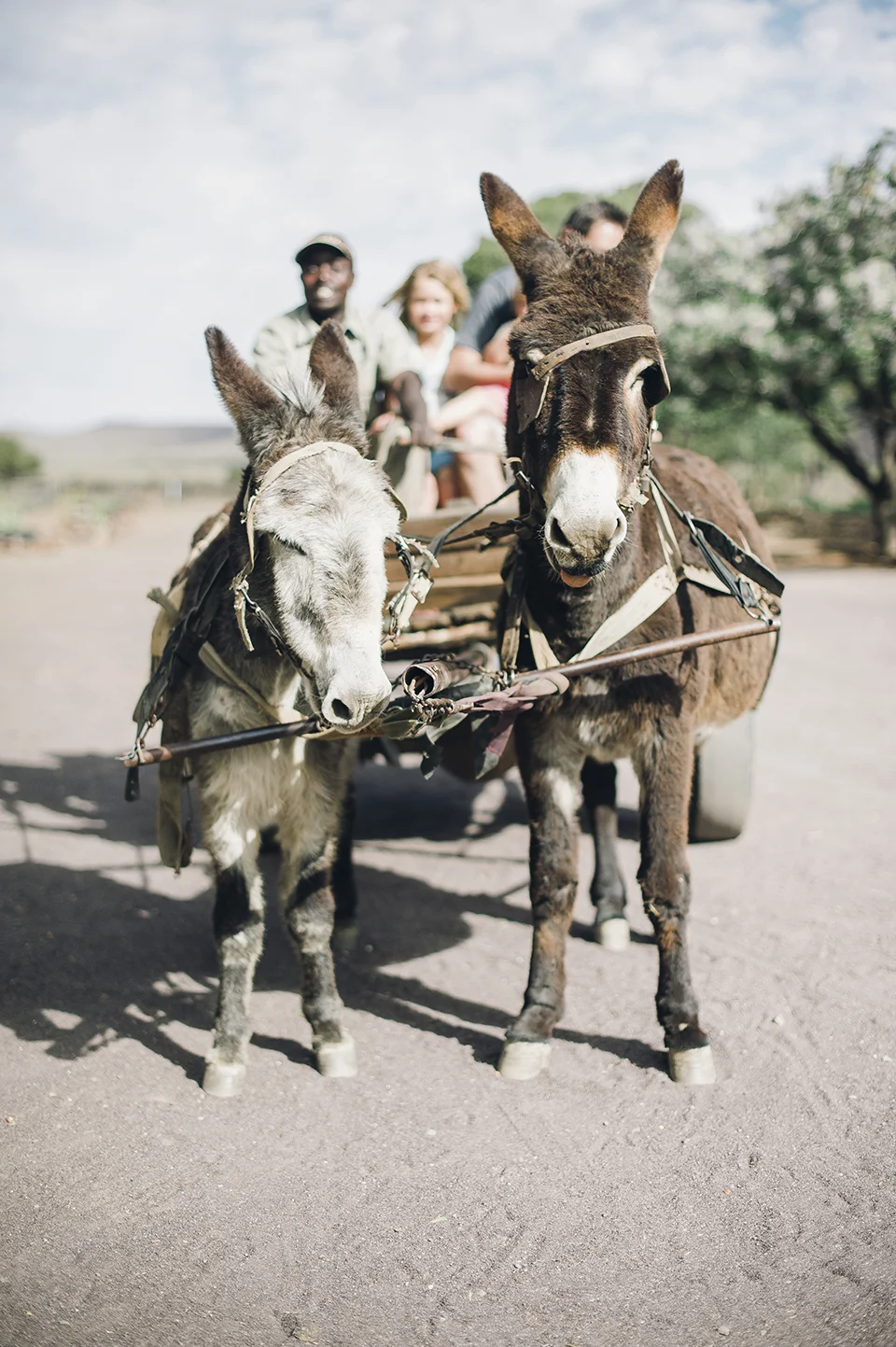 RyanParker_FineArtPhotographer_Travel_Karoo_Bloemhof_DSC_9158.jpg