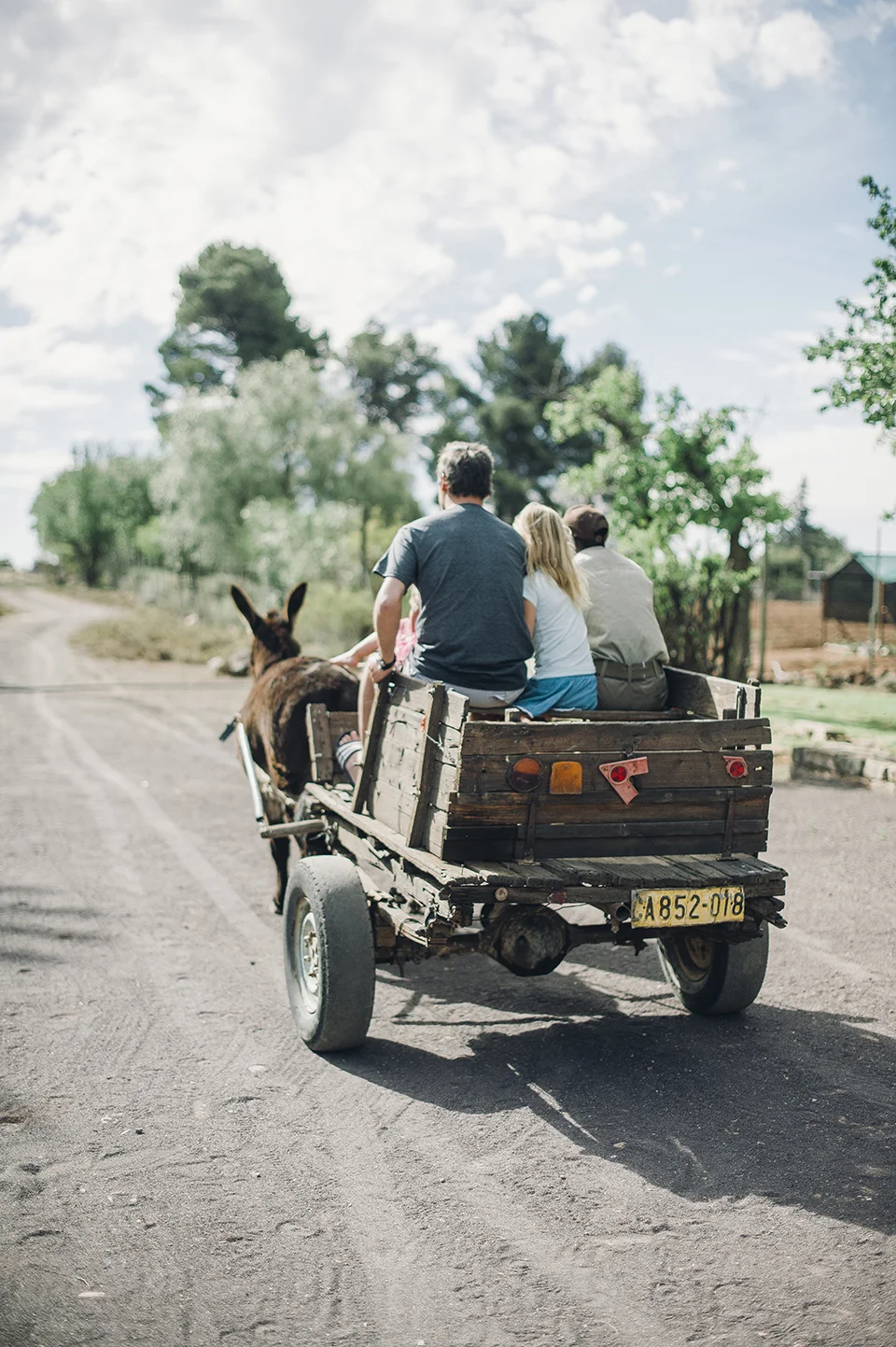 RyanParker_FineArtPhotographer_Travel_Karoo_Bloemhof_DSC_9159.jpg