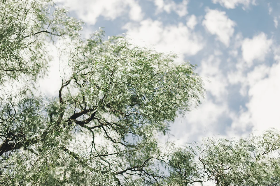 RyanParker_FineArtPhotographer_Travel_Karoo_Bloemhof_DSC_9178.jpg