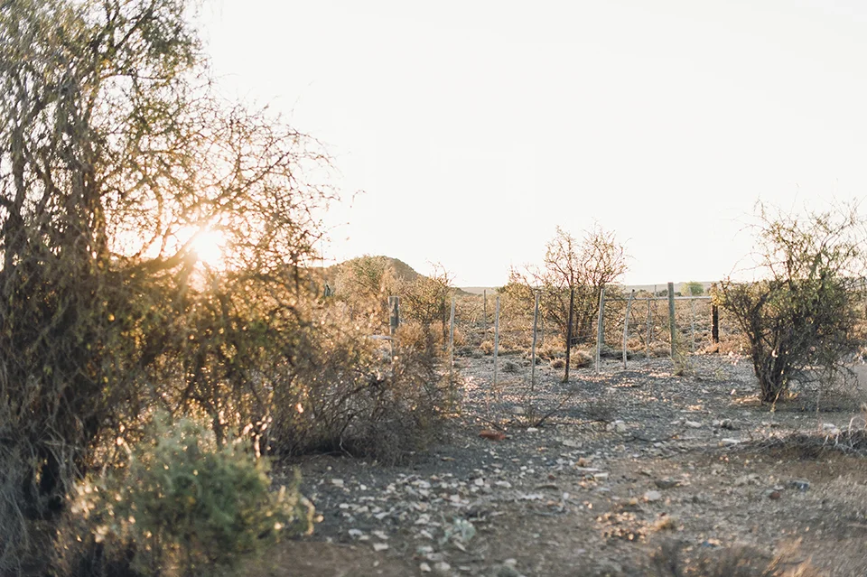 RyanParker_FineArtPhotographer_Travel_Karoo_Bloemhof_DSC_9335.jpg