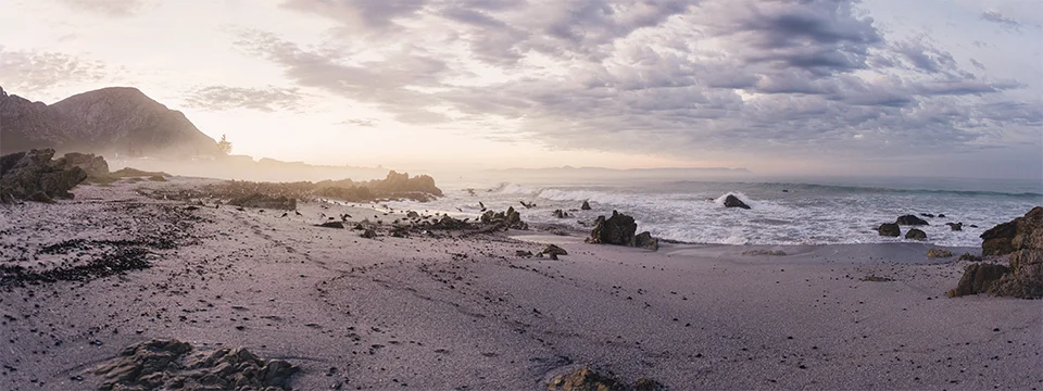 RyanParker_Photogrpaher_Wedding_Hermanus_CapeTown_B+A.jpg
