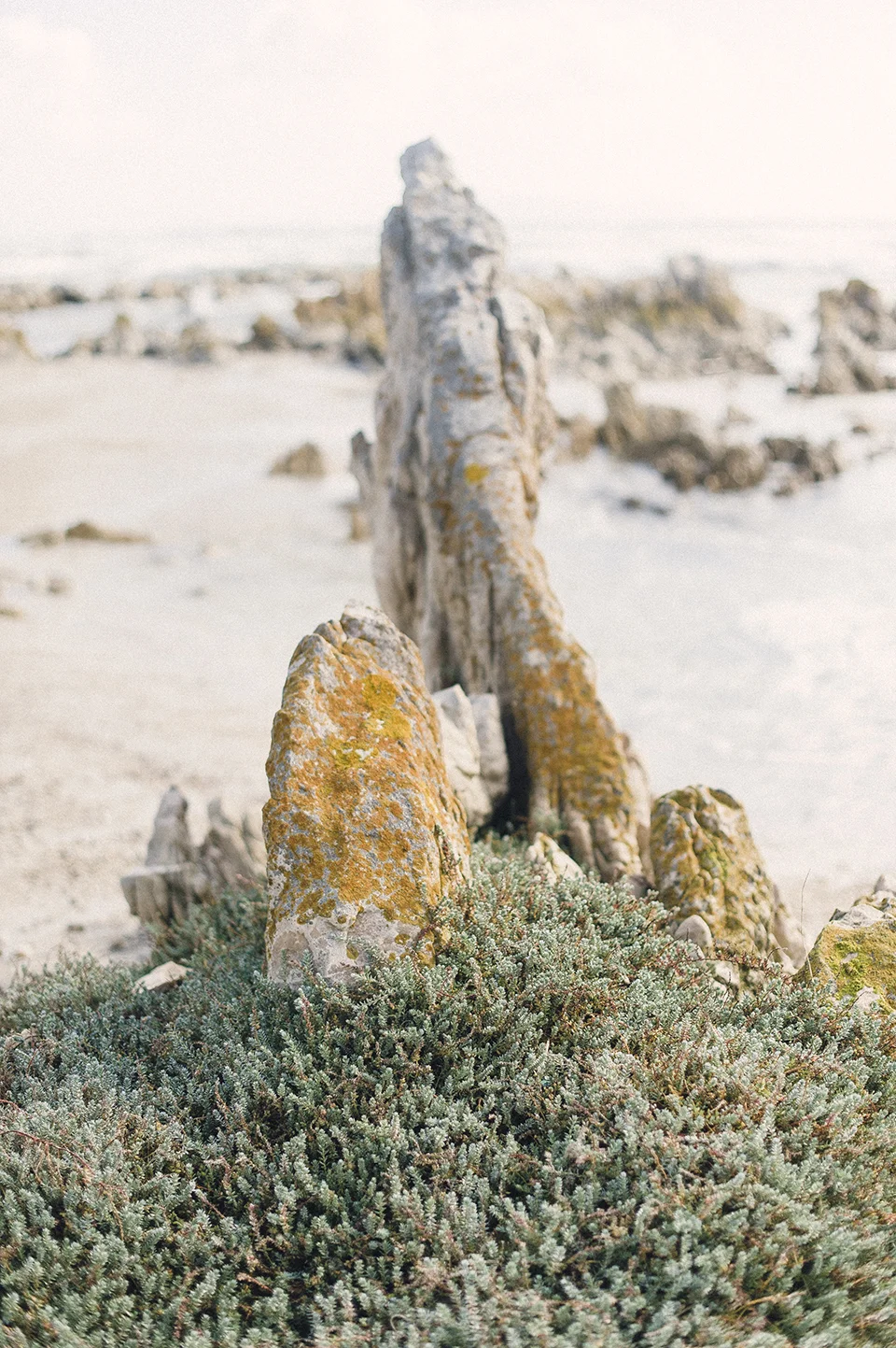 RyanParker_WeddingPhotographer_CapeTown_Hermanus_PringleBay_SouthAfrica_T&R_DSC_5596.jpg