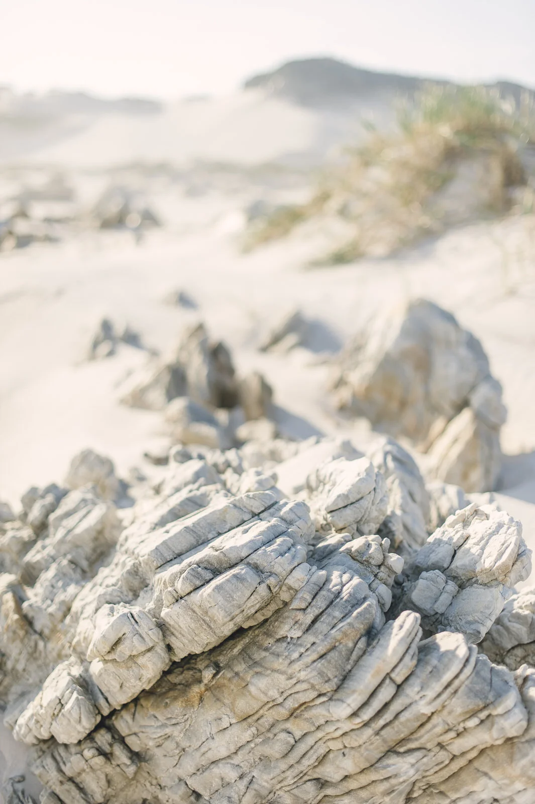 RYAN PARKER PHOTOGRAPHY_FINE ART_COUPLE SESSION_CAPE TOWN_L&C_DSC_0934.jpg