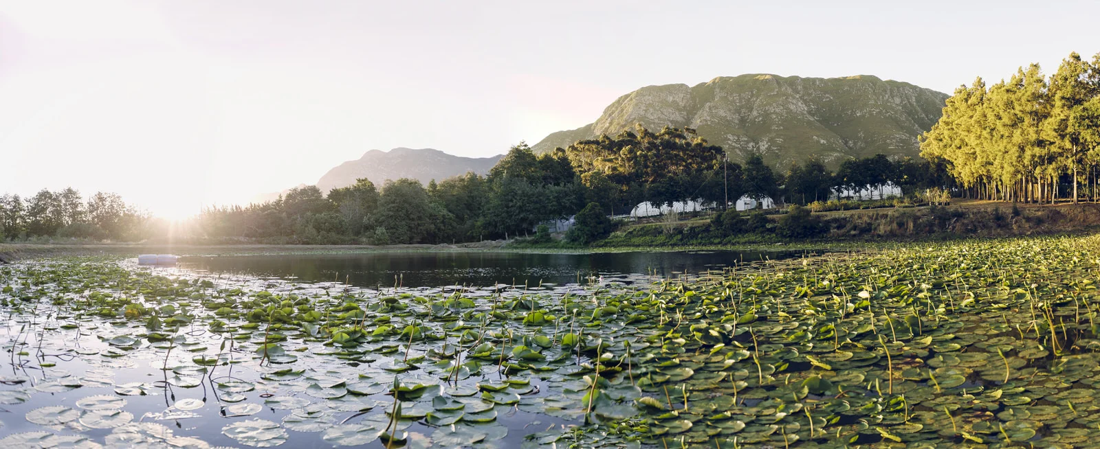 RyanParker_FineArtPhotographer_CapeTown_Photographer_Editorial_Haygrove Pano 5.jpg