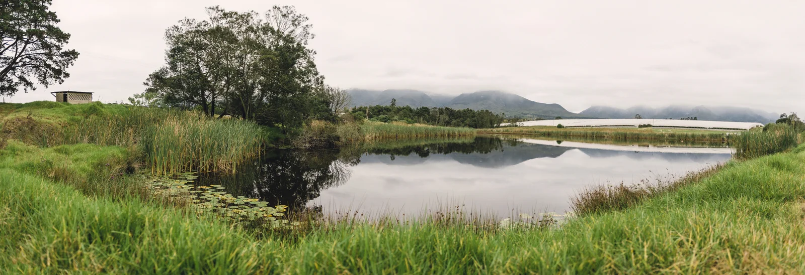 RyanParker_FineArtPhotographer_CapeTown_Photographer_Editorial_Haygrove Pano 6.jpg