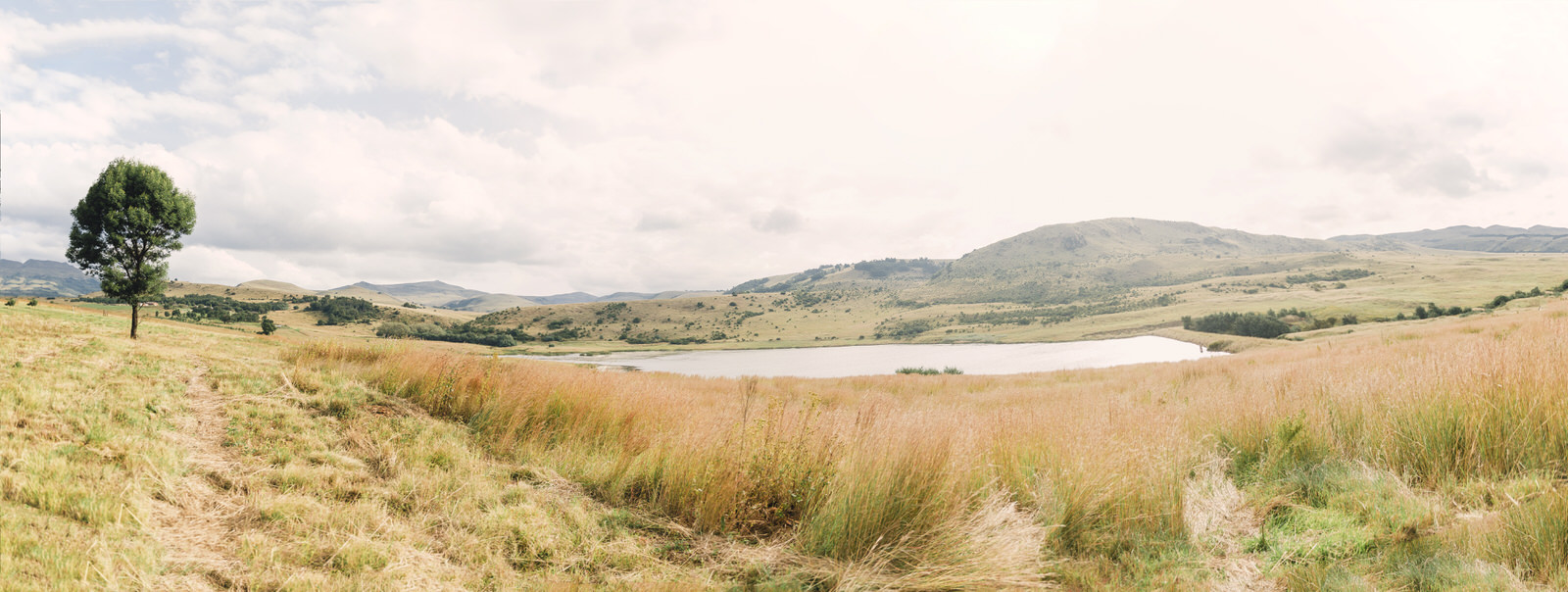 RyanParker_CapeTown_Photographer_Editorial_Farming_HaygroveHeaven_Untitled_Panorama6.jpg