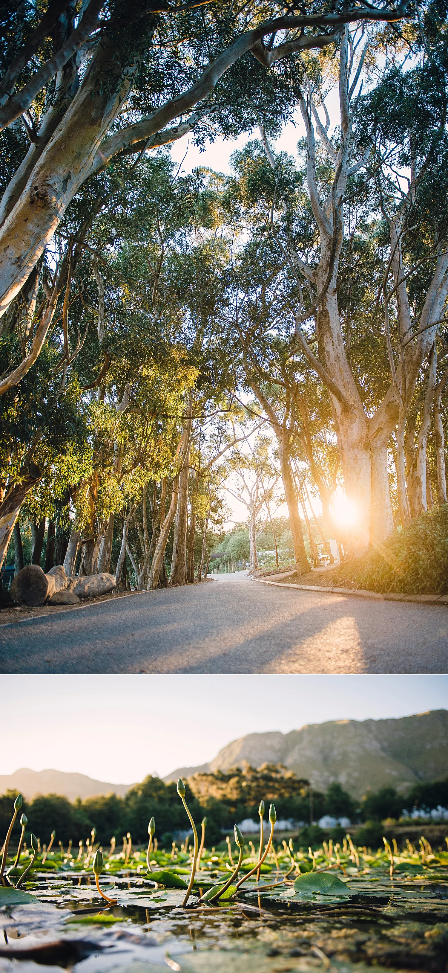 RyanParker_CapeTown_Photographer_Editorial_Farming_HaygroveHeaven_DSC_4560.jpg