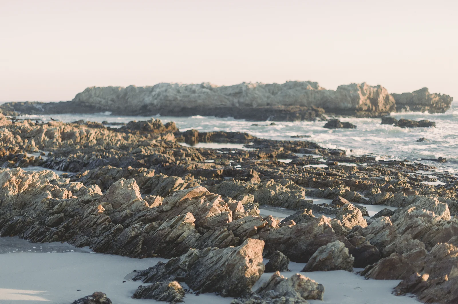 RyanParker_Wedding_Photographer_CapeTown_Hermanus_StyledShoot_DSC_6023.jpg