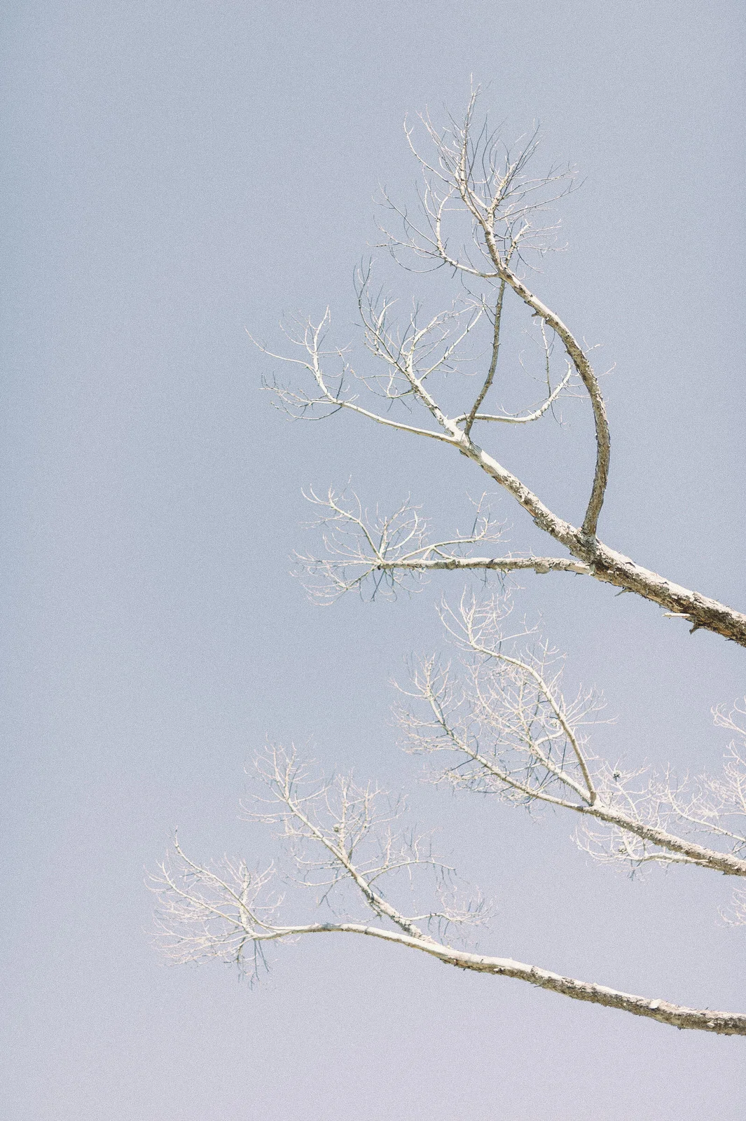 RyanParker_Wedding_CapeTown_Hermanus_R+E_DSC_4579.jpg