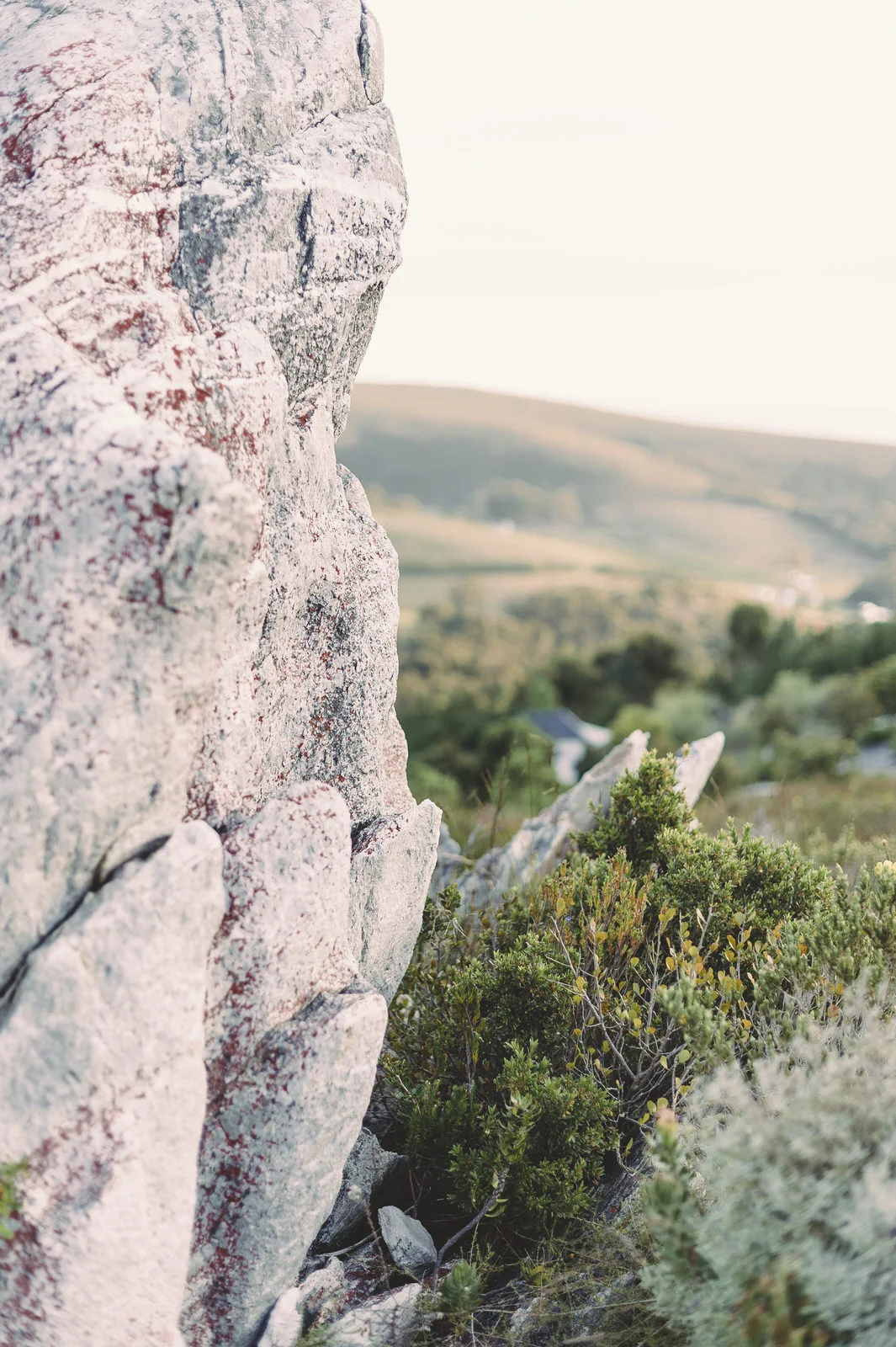 RyanParker_Wedding_CapeTown_Hermanus_BonaDea_P+M_DSC_8514.jpg