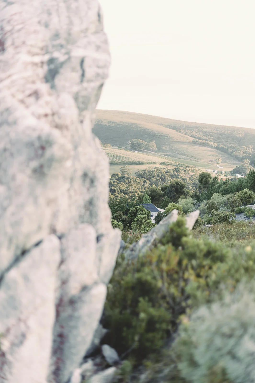 RyanParker_Wedding_CapeTown_Hermanus_BonaDea_P+M_DSC_8515.jpg