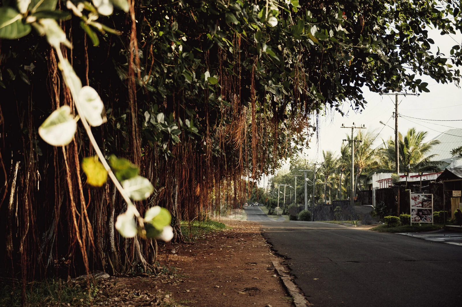 RyanParkerPhoto_Wedding_Mauritius_A&C_DSC_9658.jpg