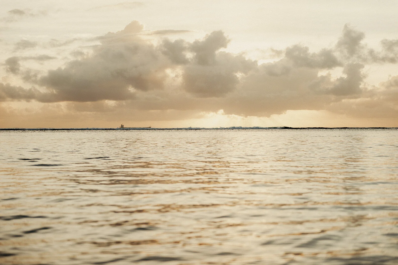 RyanParkerPhoto_Wedding_Mauritius_A&C_DSC_9737.jpg