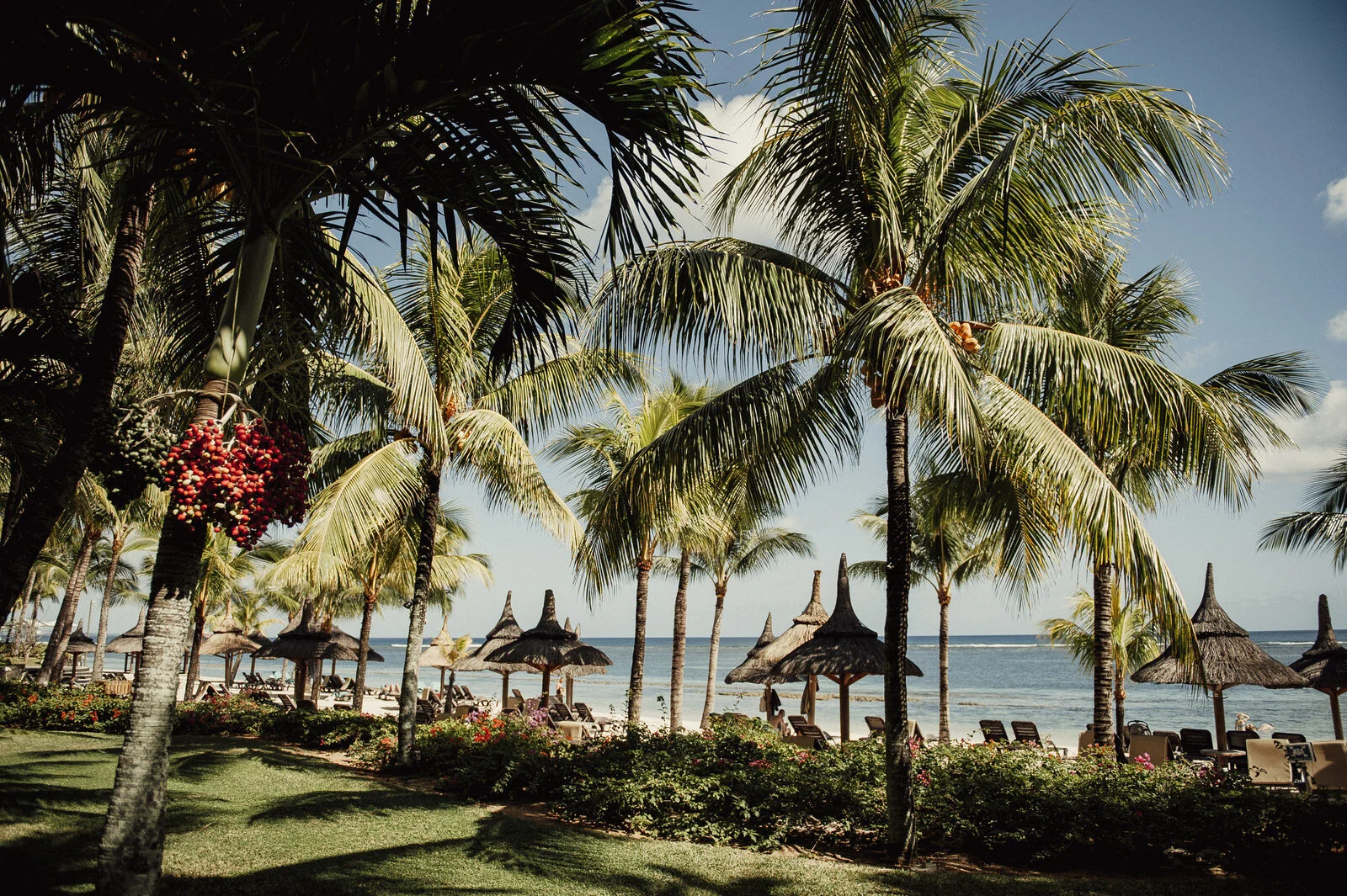 RyanParkerPhoto_Wedding_Mauritius_A&C_DSC_9792.jpg