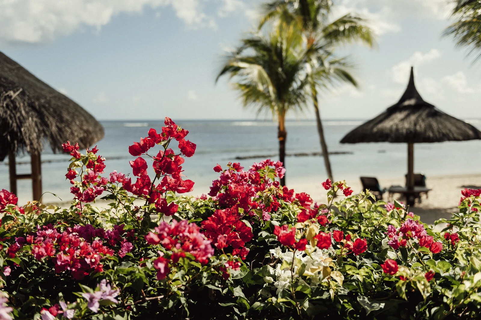 RyanParkerPhoto_Wedding_Mauritius_A&C_DSC_9802.jpg